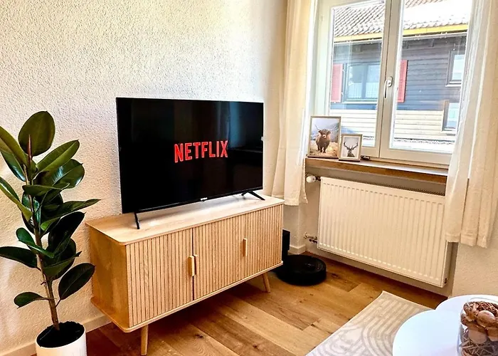 Cozy Mitten In Appartement *